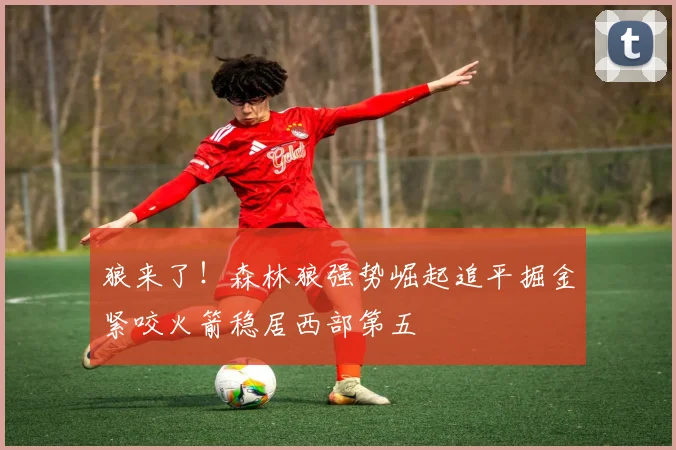 狼来了！森林狼强势崛起追平掘金紧咬火箭稳居西部第五