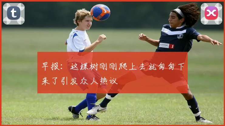 早报：这棵树刚刚爬上去就匆匆下来了引发众人热议